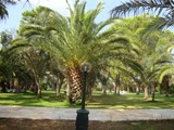 sural_hotel (21)