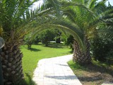sural_saray_side (10)
