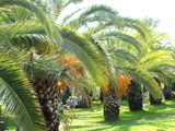 sural_saray_side (11)