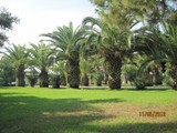 sural_saray_side (22)