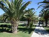 sural_saray_side (23)