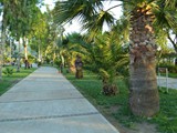 surmeli_efes (40)