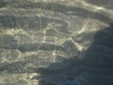surmeli_efes (43)