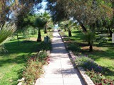 tayyar_bey_hotel (7)