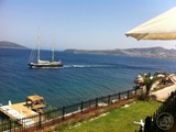 Blue_Bosphorus (1)