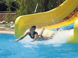 Trendy_Palm_Beach (10)