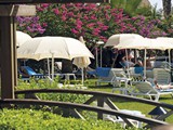 Trendy_Palm_Beach (13)