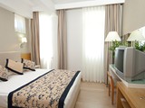 Trendy_Palm_Beach (19)