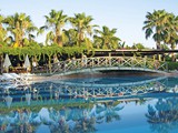 Trendy_Palm_Beach (5)