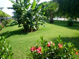 turan_prince_residence (33)